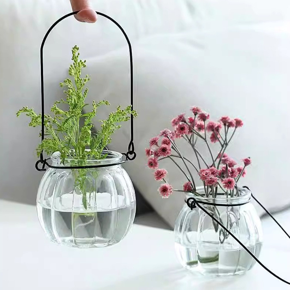 6Pcs Clear Glass Hanging Wall  - Propagation Station Vase 评论和价格