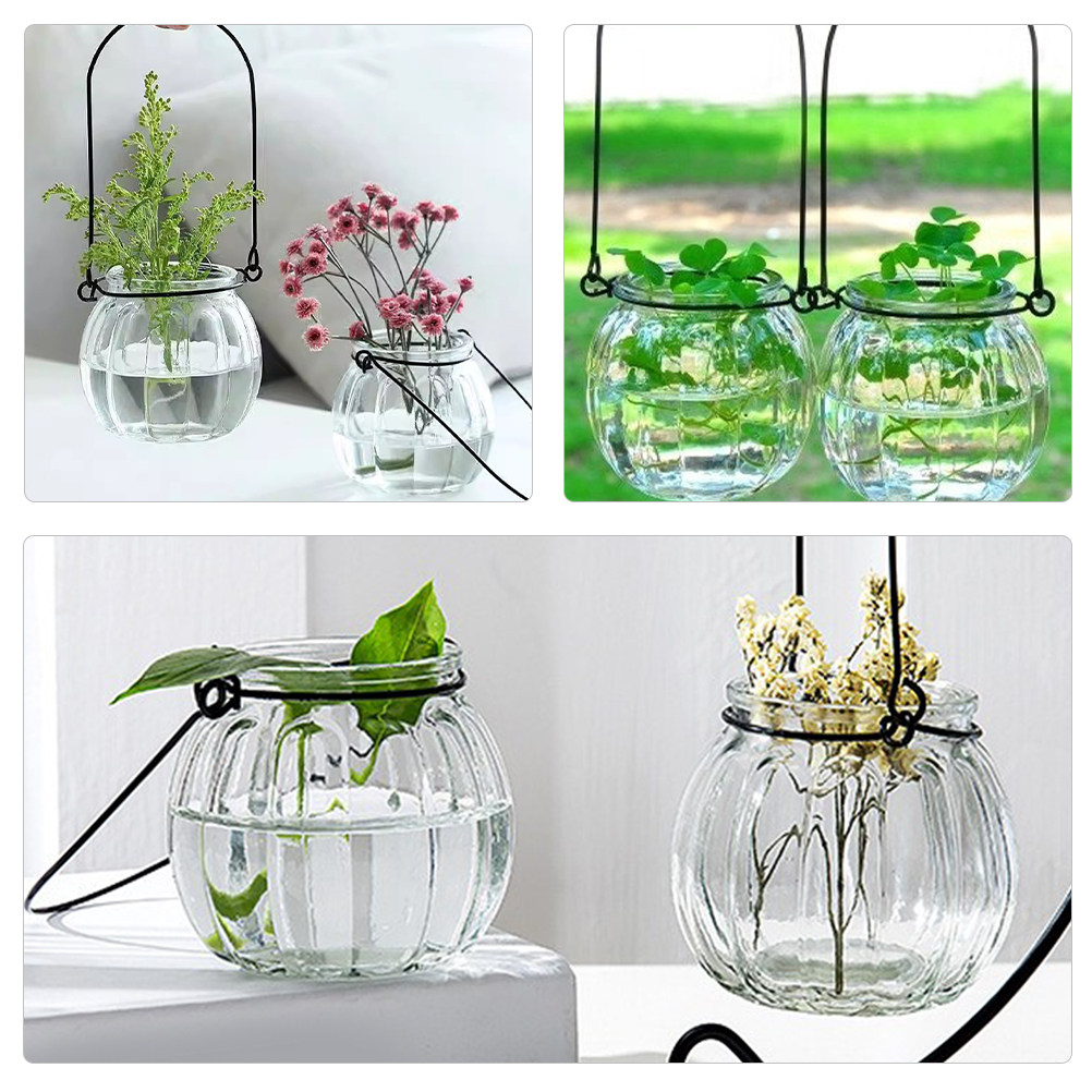 6Pcs Clear Glass Hanging Wall  - Propagation Station Vase 评论和价格
