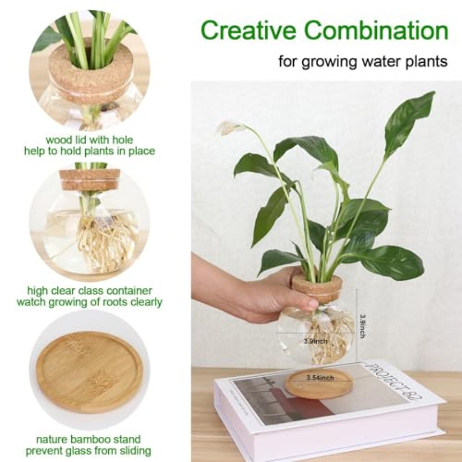 Plant Propagation Station, Hyd - Propagation Station Vase 评论和价格