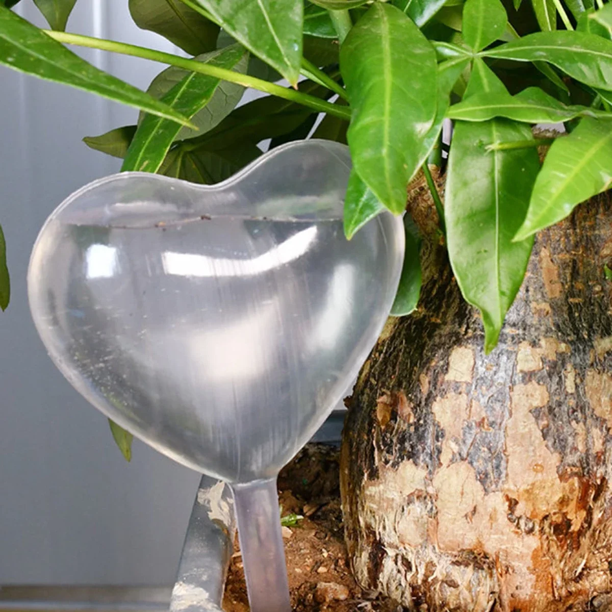 1pc Automatic Plant Watering B - Self Watering Insert 评论和价格