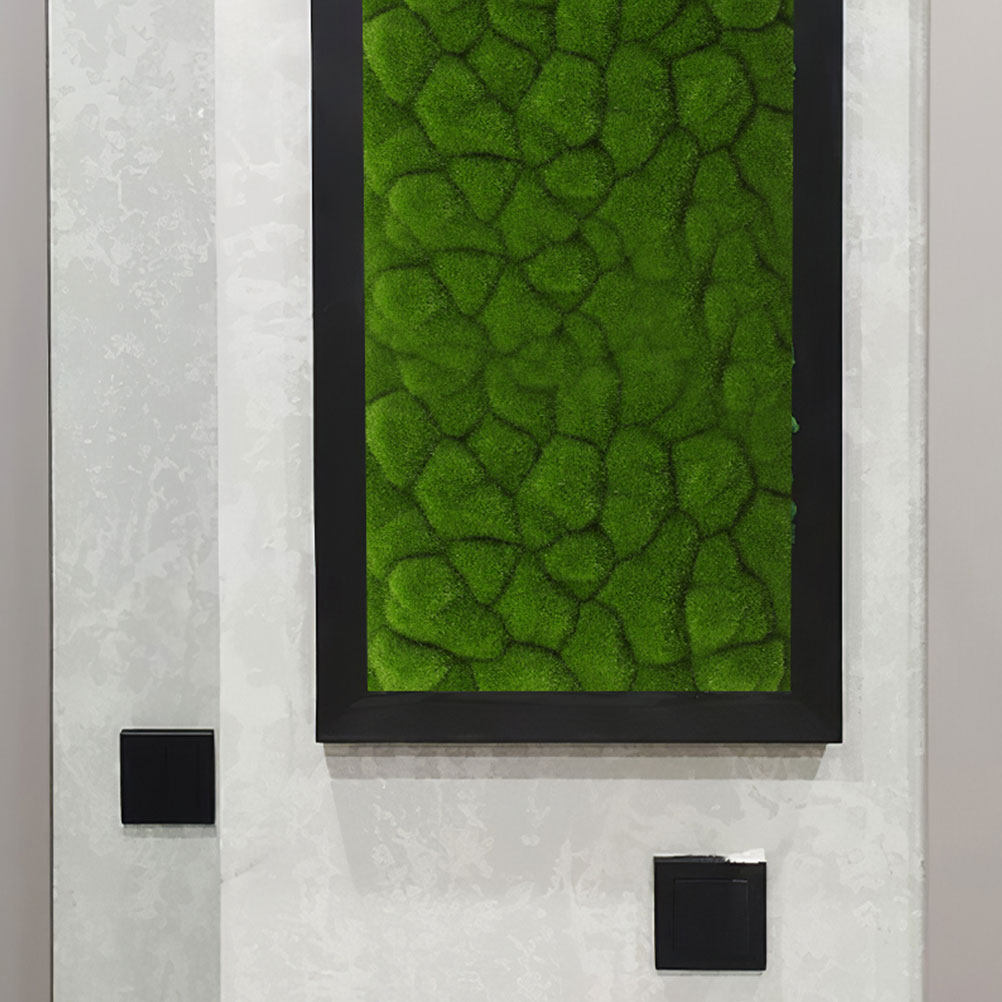 2Pcs Simulation Moss Decor Art - Sphagnum Moss Dry 评论和价格