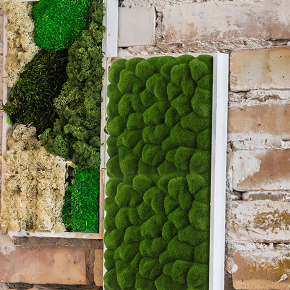 2Pcs Simulation Moss Decor Art - Sphagnum Moss Dry 评论和价格
