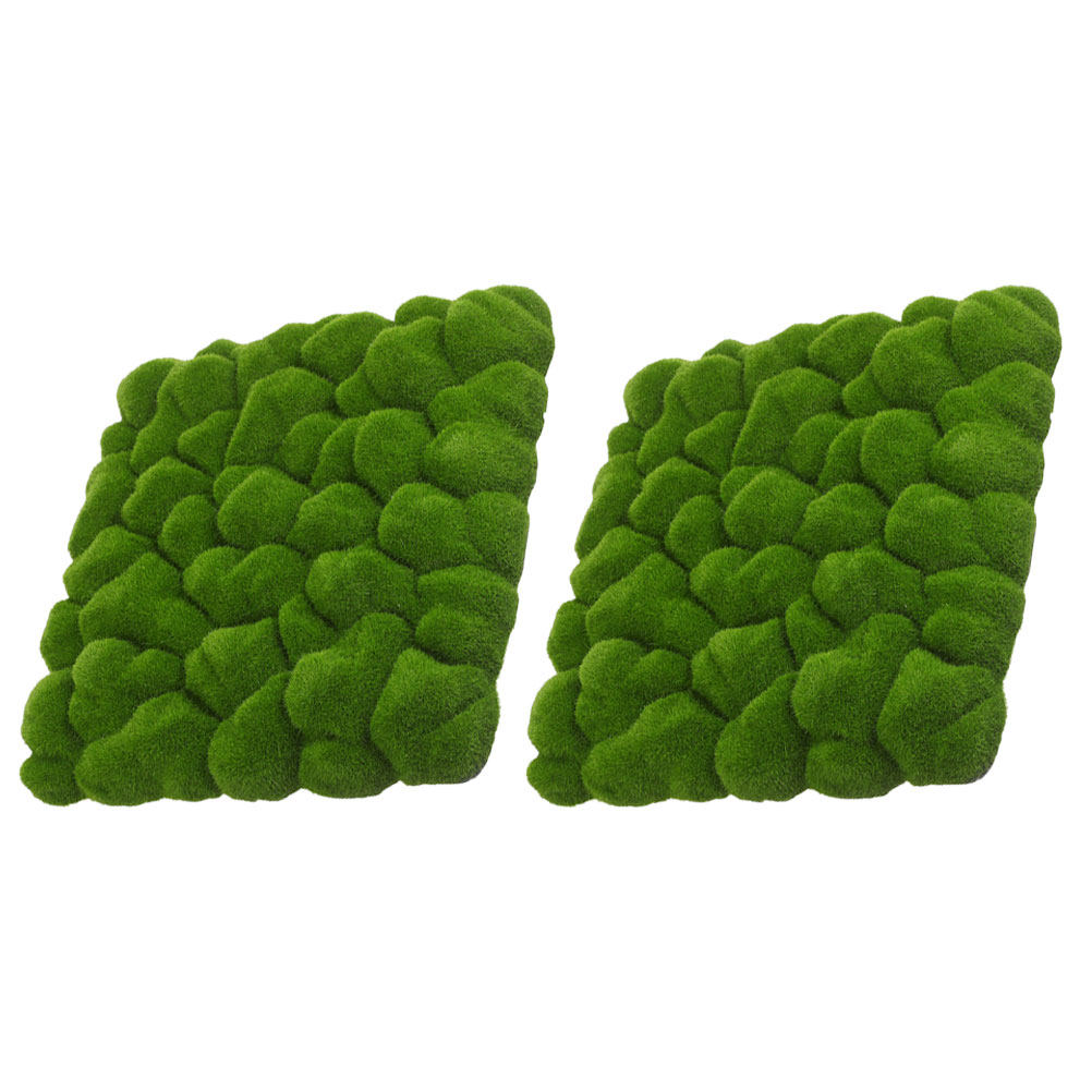 2Pcs Simulation Moss Decor Art - Sphagnum Moss Dry 评论和价格
