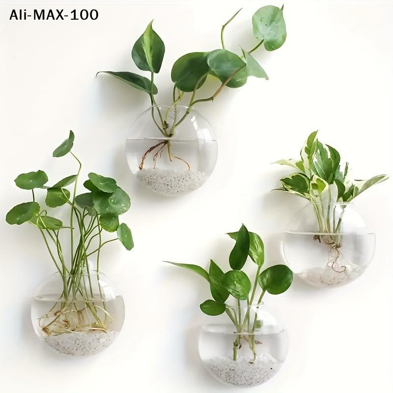 【MA3】Wall Hanging Glass Plant  - Propagation Station Vase 评论和价格