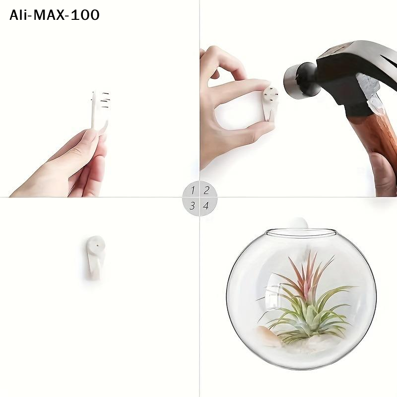 【MA3】Wall Hanging Glass Plant  - Propagation Station Vase 评论和价格