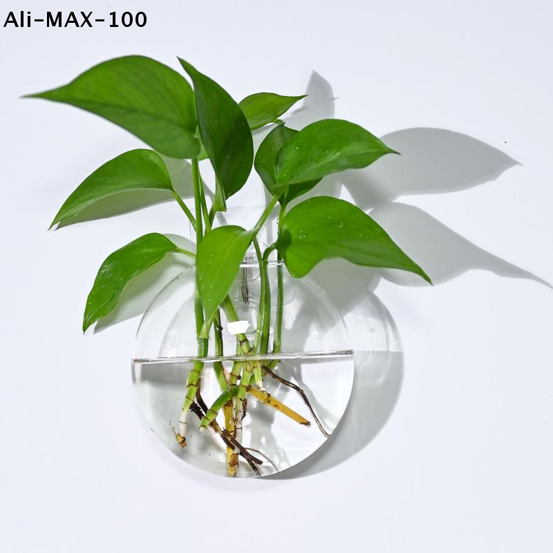 【MA3】Wall Hanging Glass Plant  - Propagation Station Vase 评论和价格