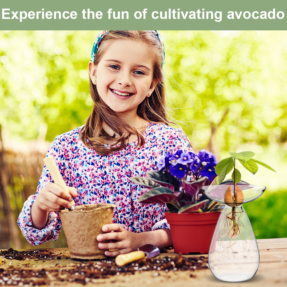 Avocado Seed Starter Vase Tran - Propagation Station Vase 评论和价格