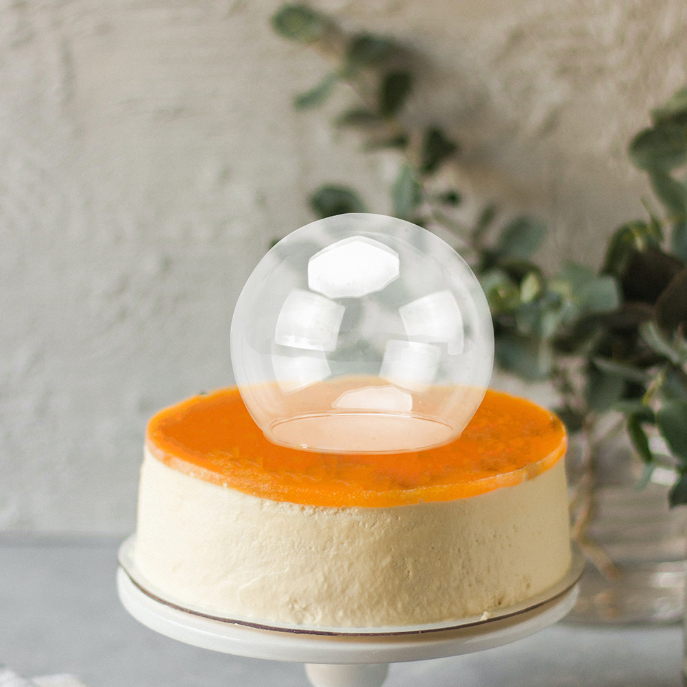 2Pcs Clear Glass Dome Display  - Plastic Dome Clear 评论和价格