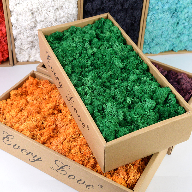 40/20g Artificial Moss Grass G - Sphagnum Moss Dry 评论和价格