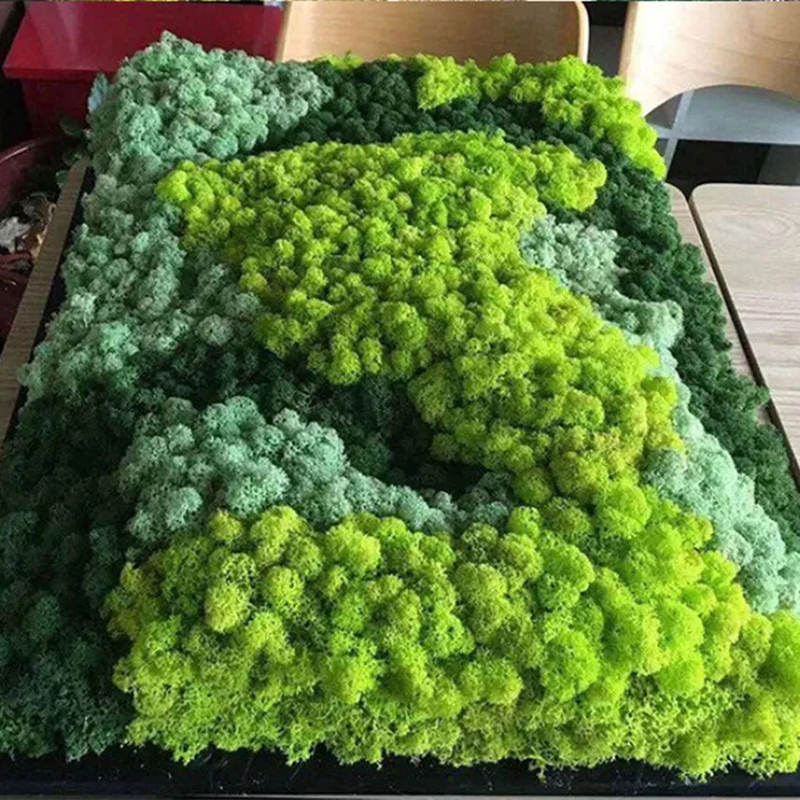 40/20g Artificial Moss Grass G - Sphagnum Moss Dry 评论和价格