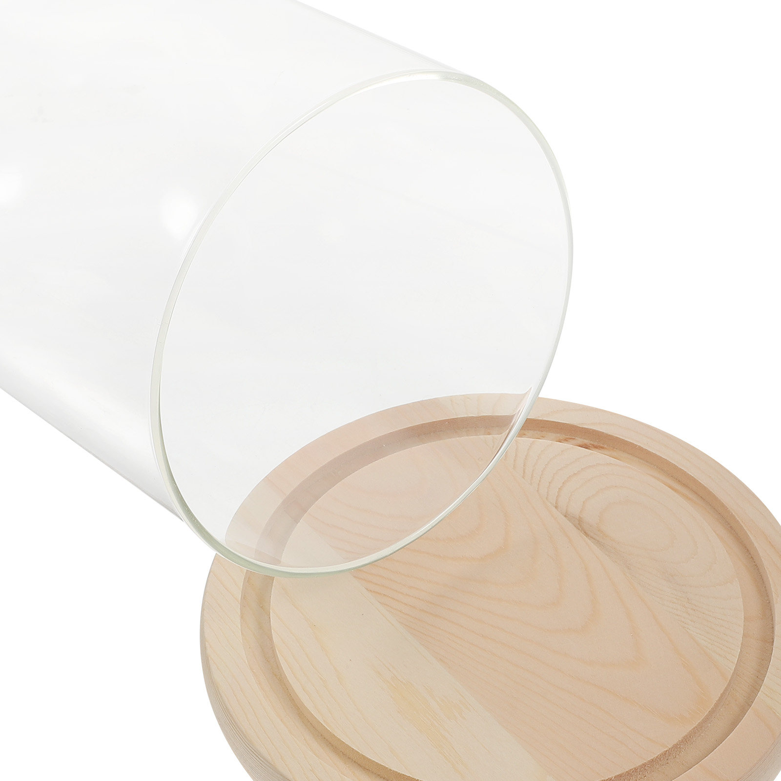 Glass Dome Display Case with B - Plastic Dome Clear 评论和价格