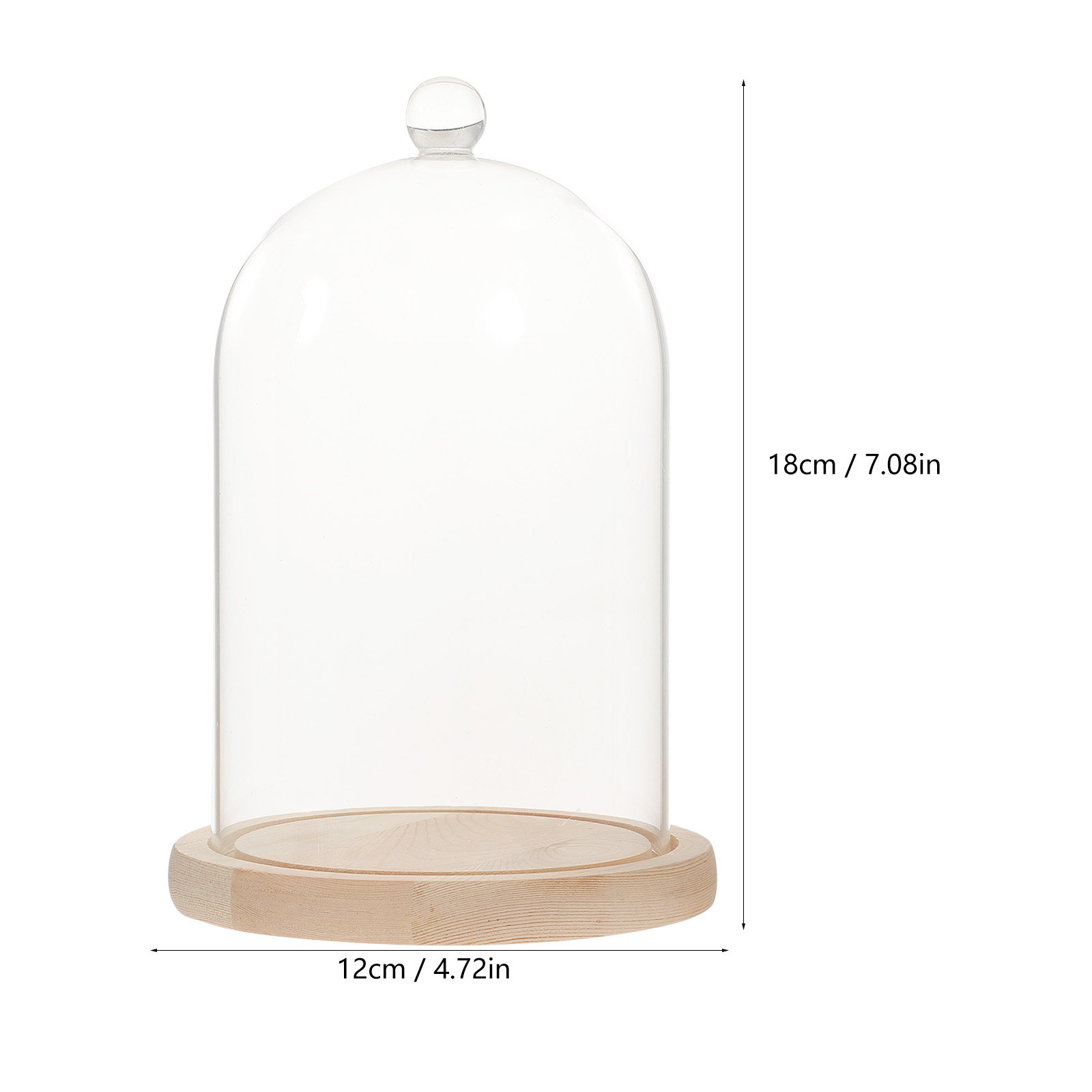 Glass Dome Display Case with B - Plastic Dome Clear 评论和价格