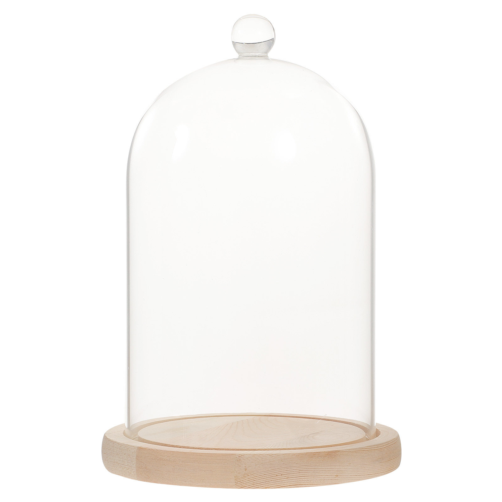 Glass Dome Display Case with B - Plastic Dome Clear 评论和价格